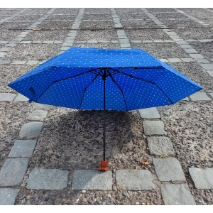 Paraguas Mónica